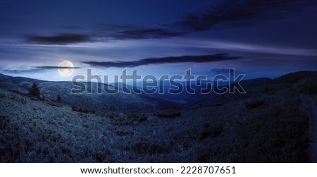 panoramic view in to valley. stunning landscape of carpathian mountains at night in summer. forested hills and grassy meadows beneath a bright blue sky in full moon light