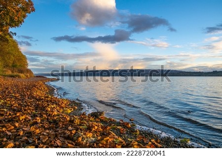 Autumn vacation on beautiful Lake Constance with blue sky and autumn leaves on the lake shore