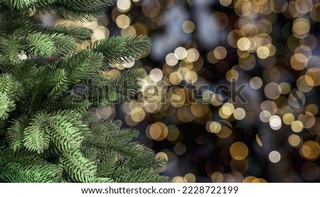 Happy New Year and Merry Christmas banner with empty green fir tree and blurred Xmas lights on background. High quality photo