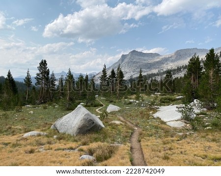 Sequia National Park Mountain Trail