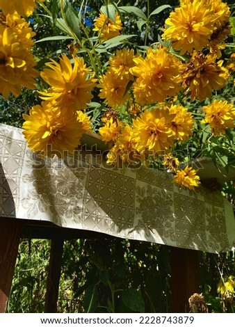 summer screensaver picture, colourful background, yellow flowers in the garden, sunny picture