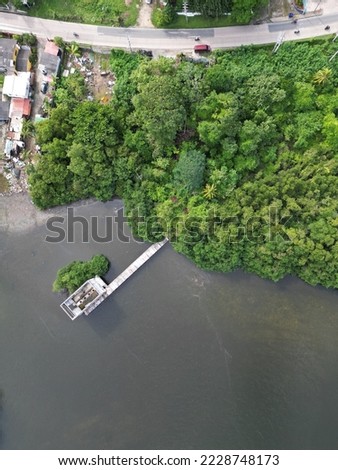 Overhead picture of a mangrove forest with an environmental impact close to it
