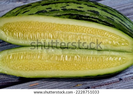 The Armenian cucumber, Cucumis melo var. flexuosus, a type of long, slender fruit which tastes like cucumber and looks somewhat like a cucumber inside, yard-long cucumber, snake melon, selective focus