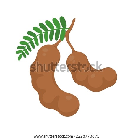 Sweet tamarind. A healthy fruit that is high in fiber. Help the digestive system for vegetarians Royalty-Free Stock Photo #2228773891