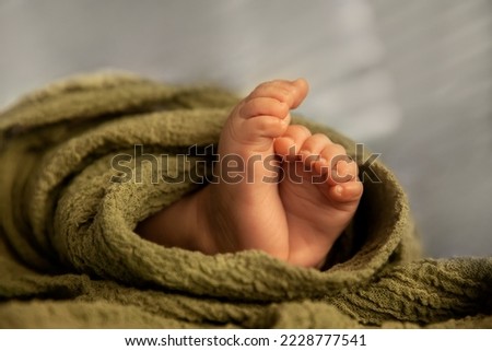 Closeup of newborn baby feet in a green wrap at natural light, indoor photography - Image