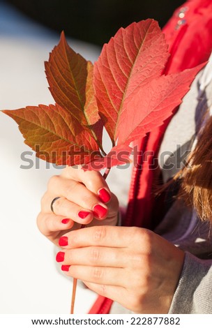 Red autumn leaf in woman hands  