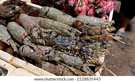A stack of spiny lobsters on the traditional fish market. Those crustaceans inhabit tropical and subtropical waters and also has become popular seafood