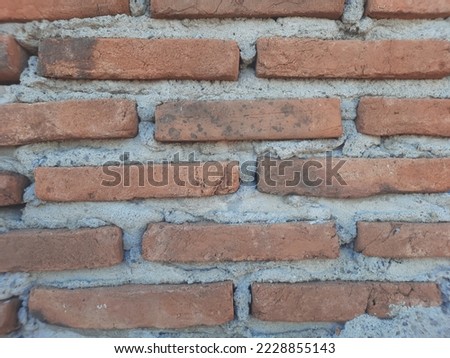 My firs picture in shutterstock. I hope you like this. Thank you and I hope you a good day!