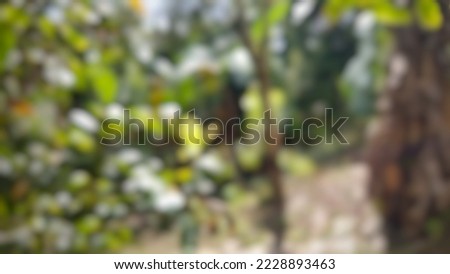 defocused abstract background of leaves