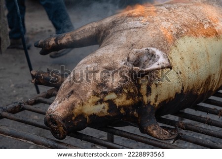 Dead pig hair removal by fire scorching Royalty-Free Stock Photo #2228893565