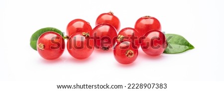 Red Currant on the white background Royalty-Free Stock Photo #2228907383