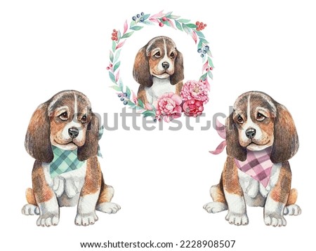 Puppies in a scarf. A pet in a flower wreath. Dog boy and girl.