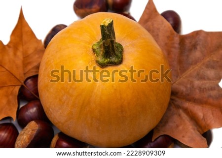 pumpkin with chestnuts isolated on white