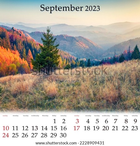 Square wall monthly calendar ready for print, September 2023. Set of calendars with beautiful landscapes. Calm autumn scene of Carpathian mountains with small fir tree on the valley, Ukraine, Europe.