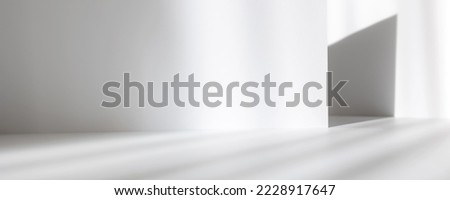 Abstract white studio background for product presentation. Empty gray room with shadows of window. Display product with blurred backdrop. Banner