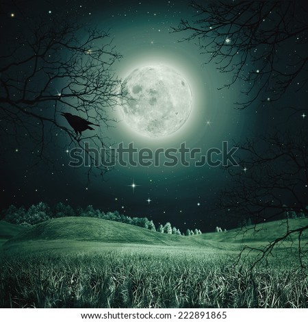 Halloween night on the spooky meadow. Abstract holidays backgrounds