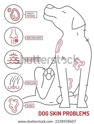 Dog skin problems infographic. Icons with different symptoms. Hair loss, itching, allergy, scabs. Animal parasites. Editable vector illustration in outline style.  Horizontal veterinary banner