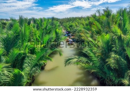 AERIAL VIEW, TOURISTS FROM THAILAND, KOREA, AMERICA AND JAPAN ARE RELAX AND EXPERIENCING A BASKET BOAT TOUR AT THE COCONUT WATER ( MANGROVE PALM ) FOREST IN CAM THANH VILLAGE, HOI AN,QUANG NAM,VIETNAM