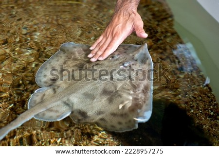 The touch pool in Calagonone aquarium, Dorgali, Sardinia, Italy