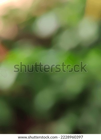 Abstract beautiful green blur bright Bokeh nature background