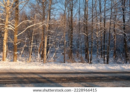 Snow-covered road in the winter forest on sunset. Winter landscape with road for publication, poster, calendar, post, screensaver, wallpaper, postcard, banner, cover, website. High quality photo