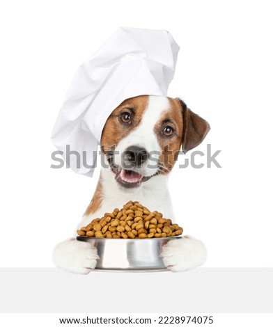 Jack russell terrier puppy wearing a chef's hat holds bowl of dry dog food above empty white banner. isolated on white background