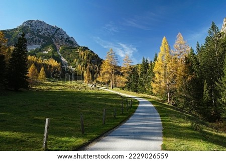 View of a hiking trail in the Austrian alps in fall