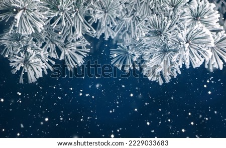 Beautiful Winter Christmas Border of Pine tree branches in hoarfrost on dark blue Background. Art Nature Background with snowy pine tree. Natural Winter Wallpaper, Template web banner with copy space