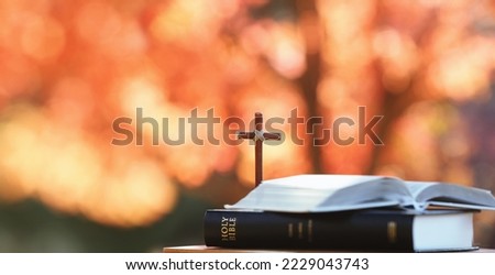 Red maple leaves and autumn trees in forest and Holy cross of Jesus Christ and bible book on table
