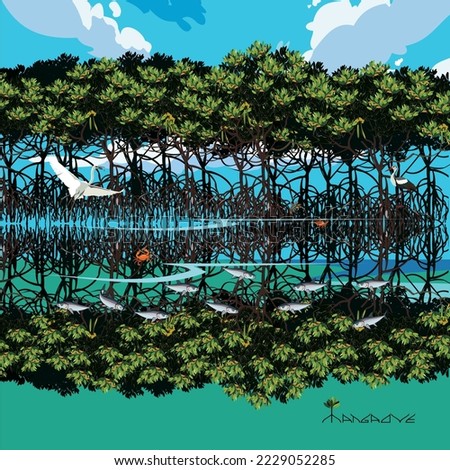 Vector: Mangrove trees and marine animal habitats.