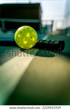 Pickleball courts rackets net and ball is all you need to have fun Royalty-Free Stock Photo #2229055929