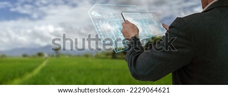 Businessman using smart tablet,organic rice field production control,concept agricultural product control technology,to future trading world market,track productivity,satellite for Agriculture