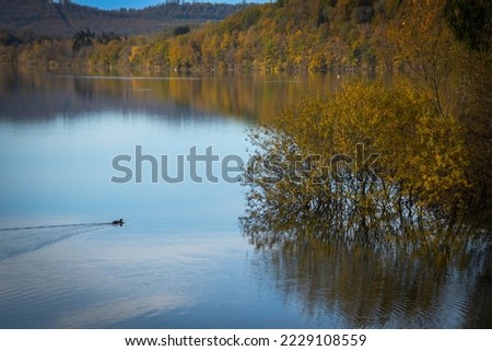 Chalain lake, Chalain estate in the Jura