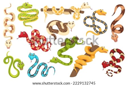 Cartoon snakes in various poses. Anaconda mascot, cute snake and funny tropical reptile vector characters set. Coiled colorful pets on tree branches, african crawling creatures in jungle