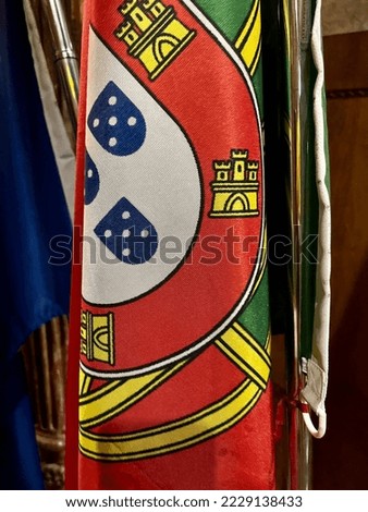 Detail on the flag of Portugal