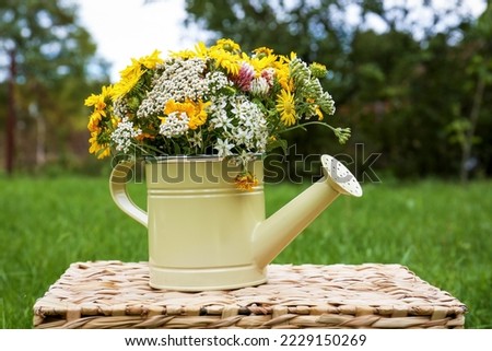 Pale yellow watering can with beautiful flowers on wicker box outdoors