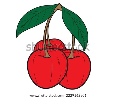 Realistic cherry isolated on white background. Vector illustration.