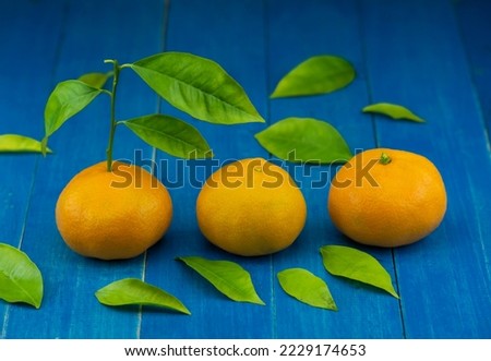 Image of orange and tangerine fruit on blue background