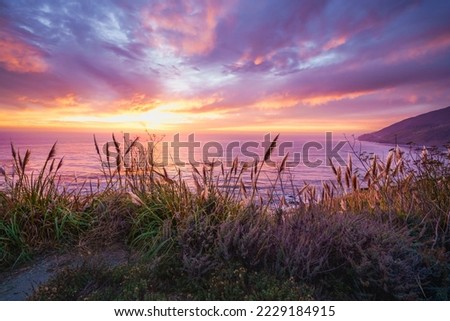 A beautiful pink sunset on the Big Sur coastline of California Central Coast. Colorful cloudy sky, quiet Pacific ocean, and native California's plants on the beach in golden sunlight Royalty-Free Stock Photo #2229184915
