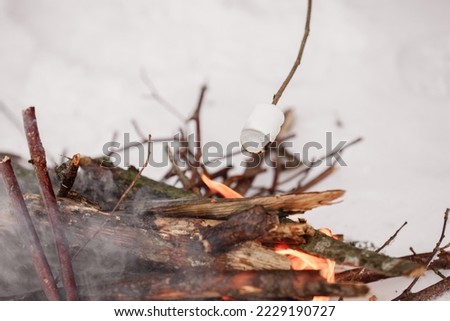 Marshmallow on a wooden stick being roasted over a camping fire in the winter forest snow on the background. Family vacation. Winter holiday