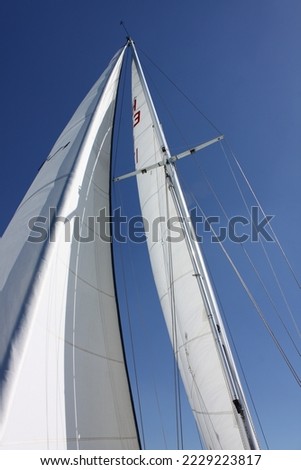 sails and mast of a sailing yacht Royalty-Free Stock Photo #2229223817