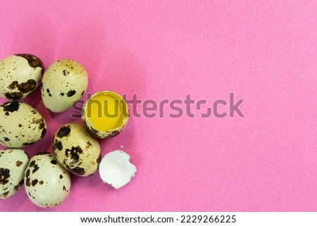 Quail eggs on a pink background.  An egg on a pink background, a place to copy. Close-up of a modern Easter greeting card. Selective focus.