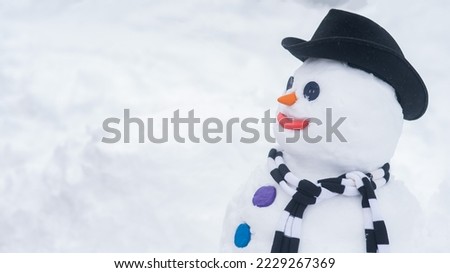 Snowman in a hat and a striped scarf. Winter fun.
