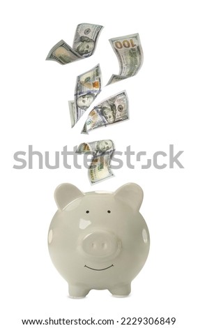 Dollar banknotes falling into piggy bank on white background