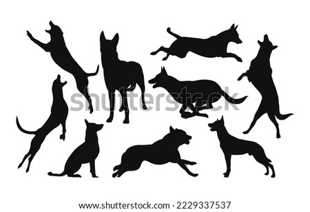 Set of belgian malinois dog silhouette isolated one white background Royalty-Free Stock Photo #2229337537