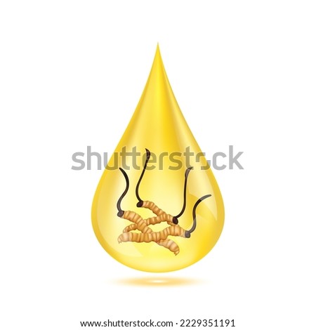 Cordyceps in golden water drop. Isolated on white background. Premium grade health food supplement. 3D Realistic vector Eps10.