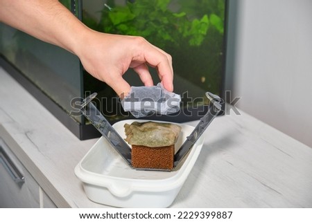 Close up of a hand assembling a fish tank waterfall filter after cleaning it. Aquarium maintenance. Royalty-Free Stock Photo #2229399887