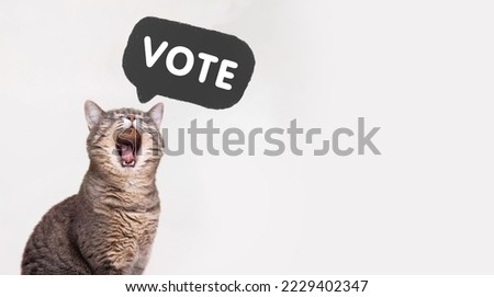 Voting in elections. Call to vote, banner. cat screaming the word VOTE. The concept of elections, voting.