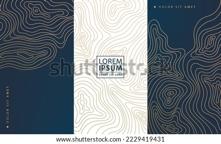 Vector topographic map set banners. Contour line geographic map pattern. Golden and black, white. labels, frames, wedding invitations, social net stories, packaging, luxury products, perfume, wine Royalty-Free Stock Photo #2229419431