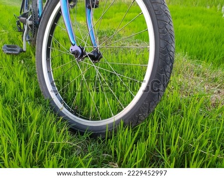Partially visible bicycle part in green grass stock photo.